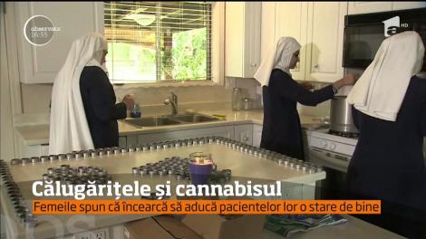 Se îmbracă în haine de călugăriţe şi vând cannabis în toată lumea. Șapte americance își doresc să schimbe viața femeilor din toată lumea