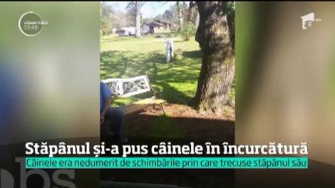 VIRAL! Revederea dintre un câine şi stăpânul său face deliciul internauţilor