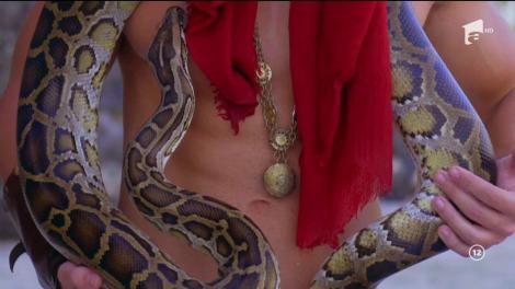 Doamnelor, domnişoarelor, faceţi cunoştinţă cu ISPITELE MASCULINE din cel de-al treilea sezon "Temptation Island"! Vikingul Robert se întoarce pe Insula Iubirii