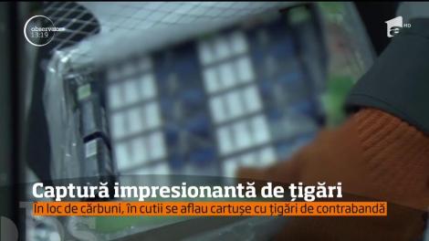 Captură impresionantă a poliţiştilor de frontieră de la Halmeu, Satu Mare