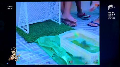 Fotbaliștii, în curând, înlocuiți de "micii înotători". Peştele ăsta trage mai bine la poartă decât Alibec