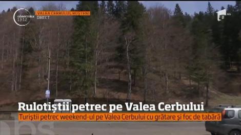 Iubitori de natură, unii turişti au renunţat însă la confortul hotelurilor şi au ales să petreacă 1 Mai la marginea pădurii