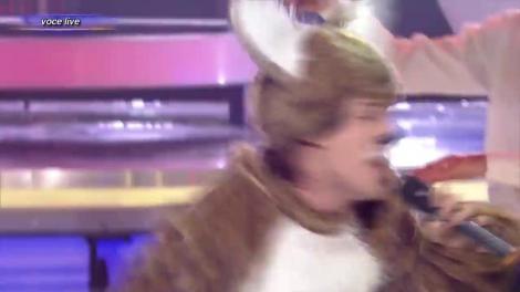 Cuza a venit direct din pădurea norvegiană!  Pufos, excentric, în blăniță de vulpe! Ylvis, ce urechi mari ai, dar câtă șiretenie!