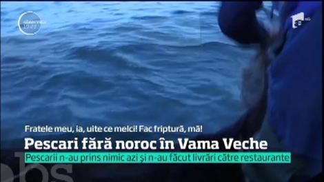 Pescarii români vin de multe ori cu năvoadele goale. Patronii restaurantelor sunt nevoiți să cumpere pește de la vecinii bulgari