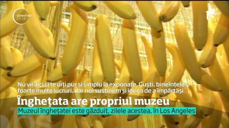 Muzeul înghețatei este găzduit în Los Angeles