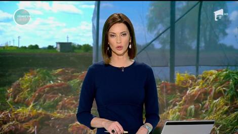 Recoltele agricultorilor au fost distruse de gerul năpraznic