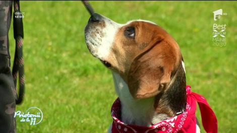 Mistreţu' are un nou membru în familie: "Arthur este foarte răsfăţat şi mânâncă orice"