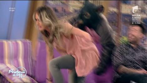 Diana Munteanu, speriată de un şoarece gigant!