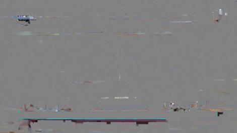 Comisia juridică a Senatului a decis grațierea faptelor de corupție. Fostul președinte, Traian Băsescu, a fost inițiatorul propunerii legislative