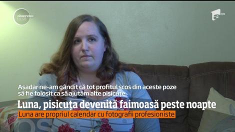 O pisicuţă din Statele Unite a devenit faimoasă peste noapte!