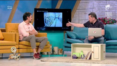 Smiley News: Cum arată o piaţă de carte din Irak pe timpul nopţii