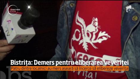 Veveriţa din Bistriţa este din nou în centrul atenţiei