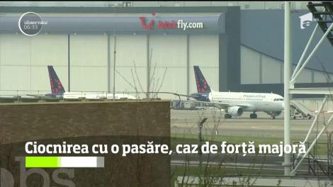 O decizie a Curţiie Europene de Justiţie poate avea consecinţe şi în România