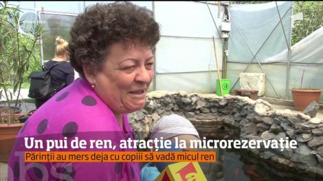 Microrezervaţia din Constanţa are noi atracţii pentru vizitatori