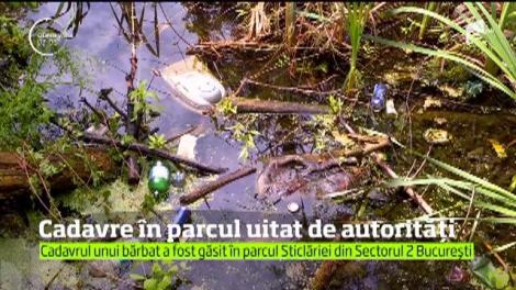Cadavrul unui bărbat a fost găsit în parcul Sticlăriei din Sectorul 2 București