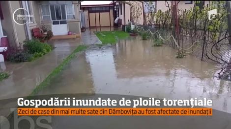 Ploile au lovit din nou! Zeci de gospodării din Dâmboviţa şi Gorj au fost inundate după mai multe viituri puternice