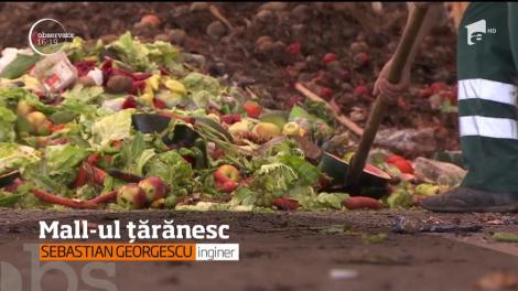 România are un nou mall! În ferma din Dâmbovița sunt doar fructe și legume fără chimicale