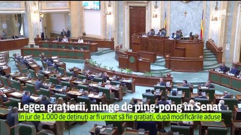 Legea graţierii e ca mingea de ping pong în Senatul României