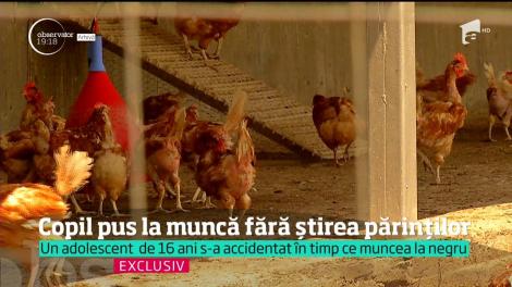 Un adolescent de 16 ani, din Călărași, s-a accidentat în timp ce muncea la negru