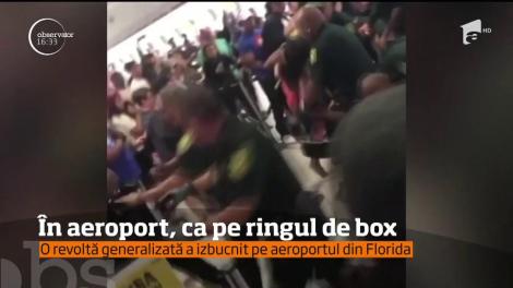 O revoltă generalizată a izbugnit pe aeroportul din Florida! Zeci de pasageri au vrut să se răzbune pe angajaţi după ce cursa lor a fost anulată