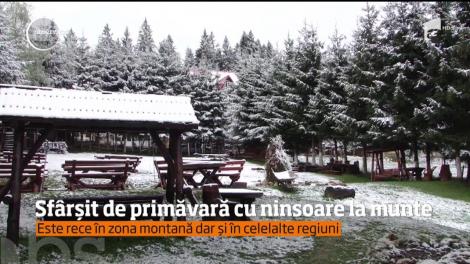 A început de ieri să cadă câte un fulg şi nu a mai stat. A nins şi astăzi zonele montane