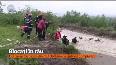 Doi bărbaţi din Prahova au fost la un pas de înec!