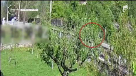 A vrut să scape de controlul rovinietei dar a intrat cu maşina în stâlp!