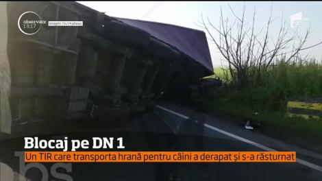 Saci intregi cu hrană pentru câini au blocat în această dimineaţă DN 1, în dreptul localităţii Băicoi