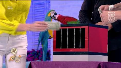Papagalii Fido şi Alma au făcut spectacol în platoul Neatza