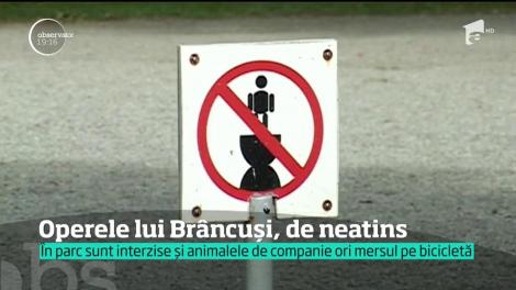 Operele lui Brâncuşi din parcul din Târgu-Jiu vor fi în sfârşit protejate. Nimeni nu se mai atinge de ele