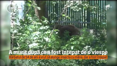 Caz dramatic la Grădina Zoologică Bucov. Un bărbat de 54 de ani, îngrijitor, a murit în urma unui şoc anafilactic acolo