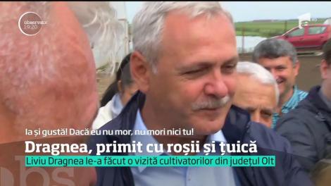 Cu roşii şi ţuică, nu cu pâine şi sare. Aşa a fost primit Liviu Dragnea de legumicultorii din Olt