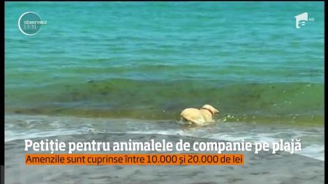 Mare atenţie însă, dacă vreţi să mergeţi la mare cu câinele de exemplu