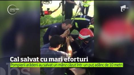 Misiune impresionantă a pompierilor din judeţul Arad, chemaţi să salveze un cal căzut într-o fântână