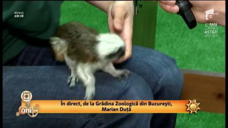 Invitație la grădina zoologică din București. De Ziua Copilului intrarea este gratuită pentru copii şi adolescenţi