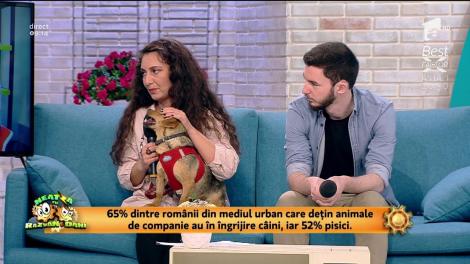 Campania ”Prieten neprețuit”. Hai să adoptăm și nu să cumpărăm un animal de companie!