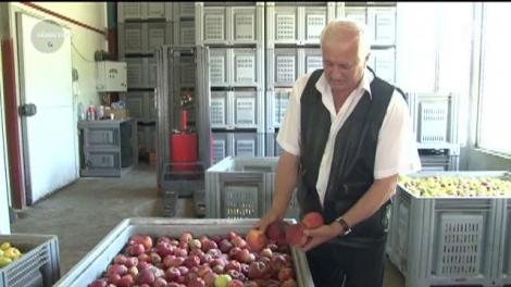 Românii îi vor îmbogăţii pe vecinii de peste Prut. Ne pregătim de importuri masive din Republica Moldova