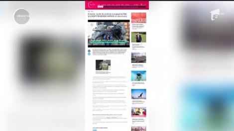 Cele mai vizualizate știri pe Observator.TV din 19 mai 2017