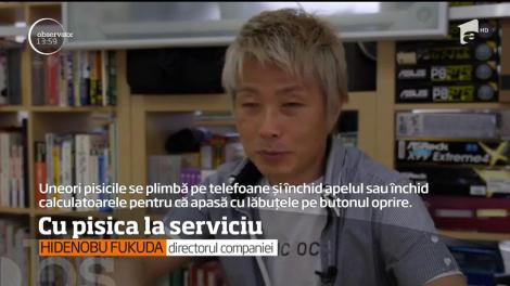 Locul de muncă este adeseori un mediu stresant, mai ales dacă angajaţii sunt nevoiţi să stea la birou ore în şir