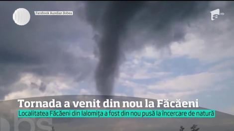 O furtună puternică a rupt copacii din comuna Făcăieni, în Ialomița
