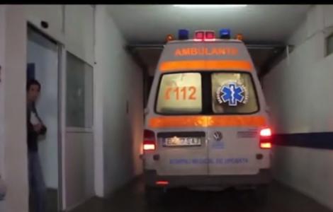 Doi bărbaţi au fost atacaţi de o ursoaică într-o pădure din Buzău