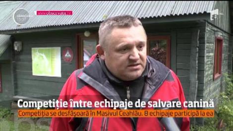 În Masivul Ceahlău a avut loc prima competiţie-antrenament, la care au participat echipaje canine de salvare montană