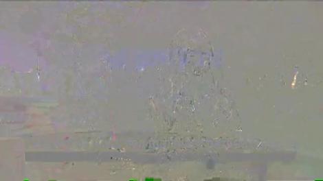 Petrecerea anului din lumea mondenă. Peste o mie de invitaţi de seamă au păşit pe covorul roşu