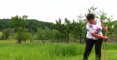 România este din nou pe locul întâi la cositul ierbii