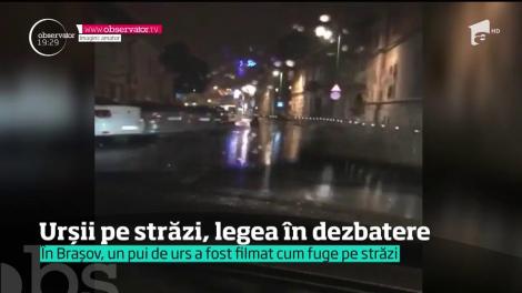 Un urs a ieşit la plimbare pe străzile din centrul vechi al Braşovului!