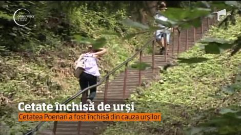 Cetatea Poenari, unul dintre cele mai vizitate obiective turistice din Argeş, a fost închisă de urşi