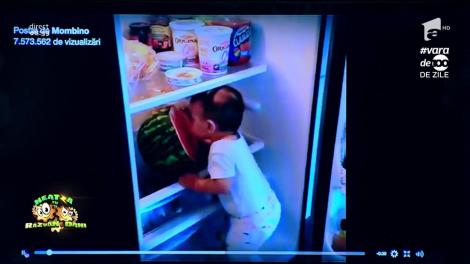 Smiley News: Atac la pepene! Un copil pofticios a intrat cu totul în frigider!