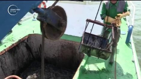 Exploatarea namolului terapeutic de la Techirghiol nu este un lucru bun