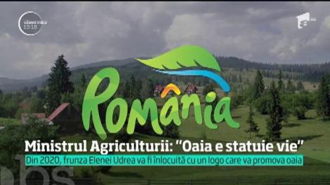Oaia e o statuie vie, spune ministrul Agriculturii, după ce şeful Turismului a declarat că ar face-o brand de ţară