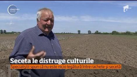 În timp ce în aproape toată ţara a tot plouat, în Vrancea oamenii se confruntă de mai bine de o lună cu seceta